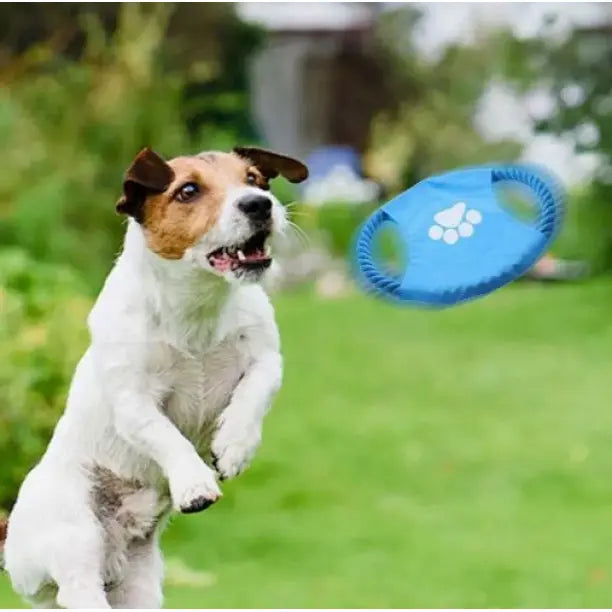 Juguetes para mascotas para perros Frisbee Disco volador Azul Entrenamiento Ciclismo Prevención