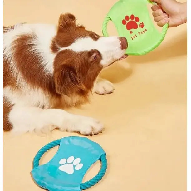 Pet toys for dogs Frisbee Flying Disc Blue Training Biking Prevention