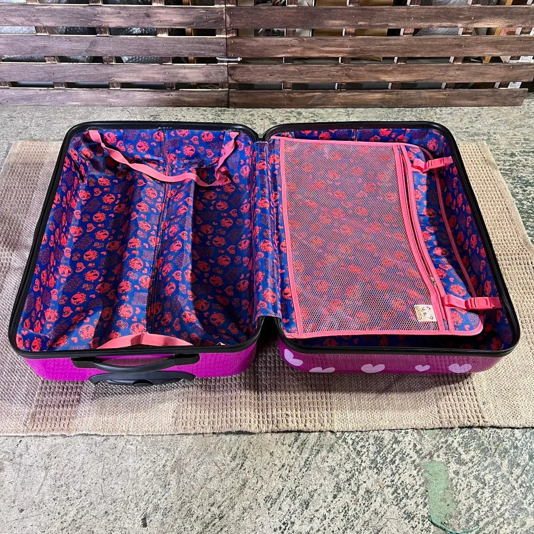 F147" GRAND GROUND DREAMU Carry Case