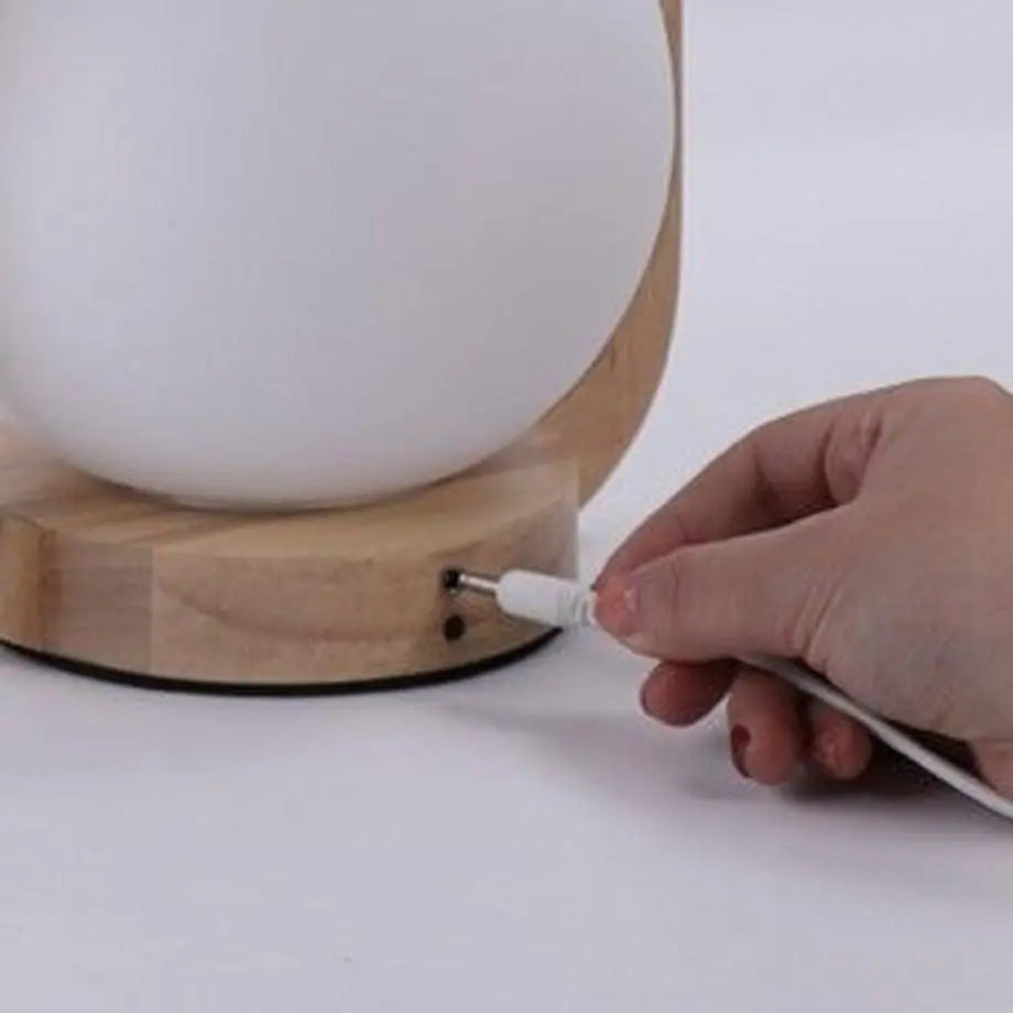 [Also for disaster prevention and camping] Portable lamp USB charging LED lamp