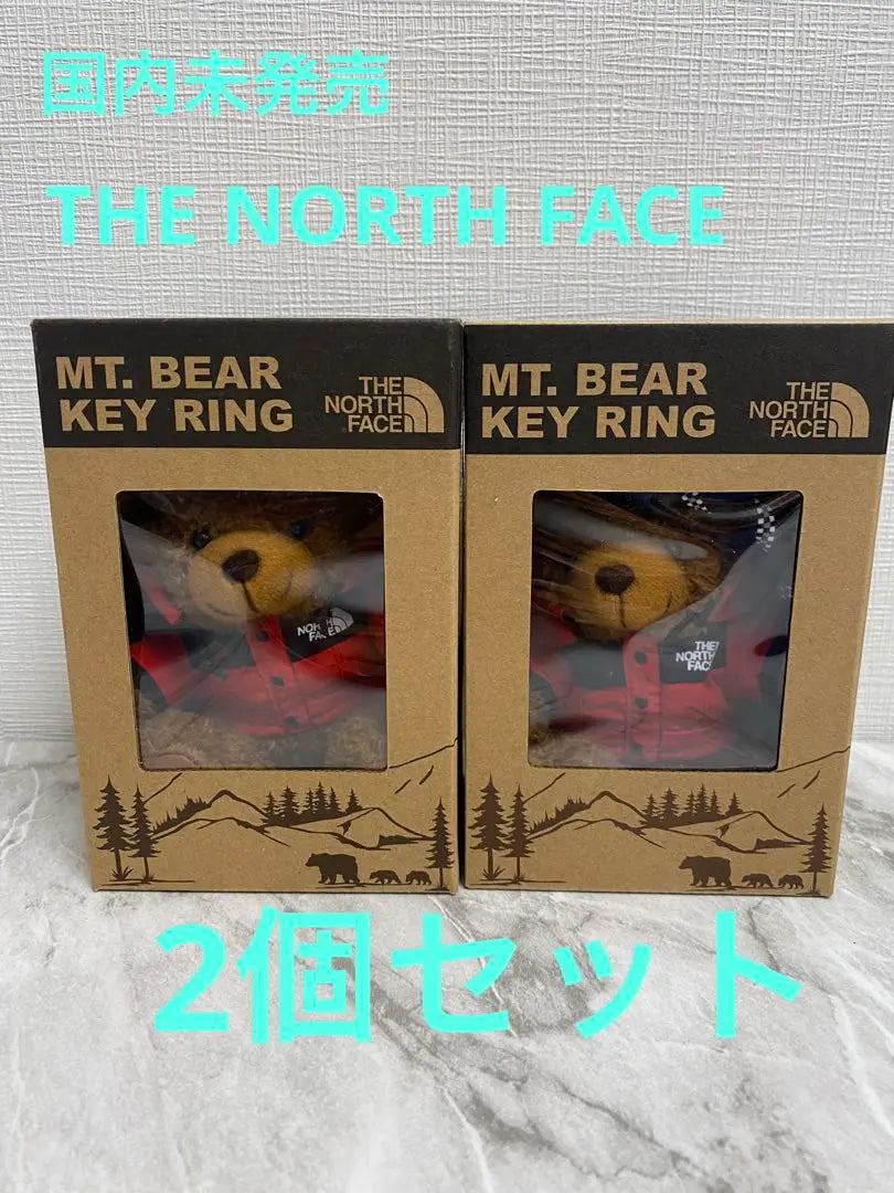 [Set of 2] North Face Mountain Bear Key Ring Keychain