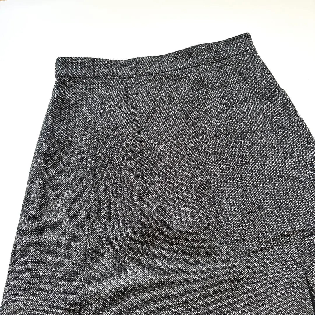 Prancy PLAN C Long Skirt Size 42 L Check Sequin