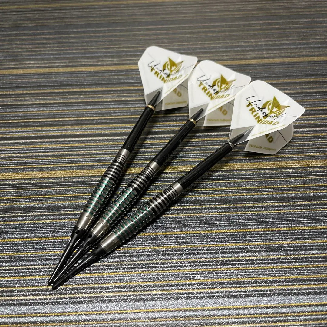 Regular price: 14,800 yen Soft darts Trinidad Ricardo Lopez 21g