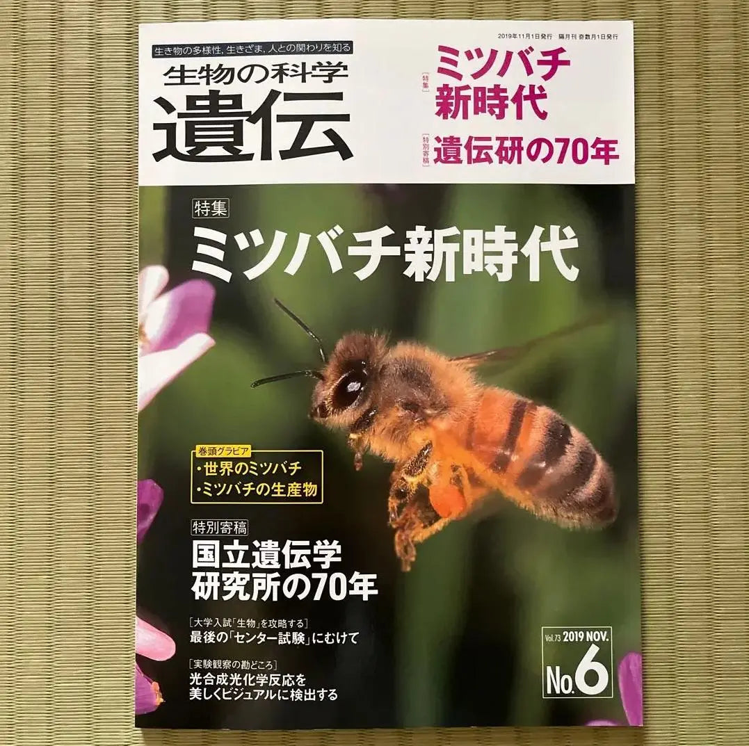 GG DG Birth Science Inheritance November 2019 ZP Fy | GG DG 生物の科学 遺伝 2019年11月 ZP FY