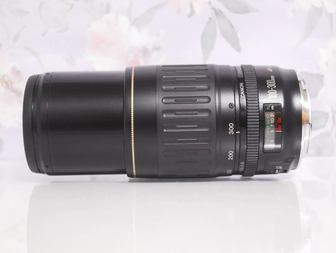 Súper teleobjetivo que es muy activo en eventos, etc. ☆ Canon EF 100-300 mm ♡ | イベントなどで大活躍の超望遠☆キャノン EF 100-300mm♡