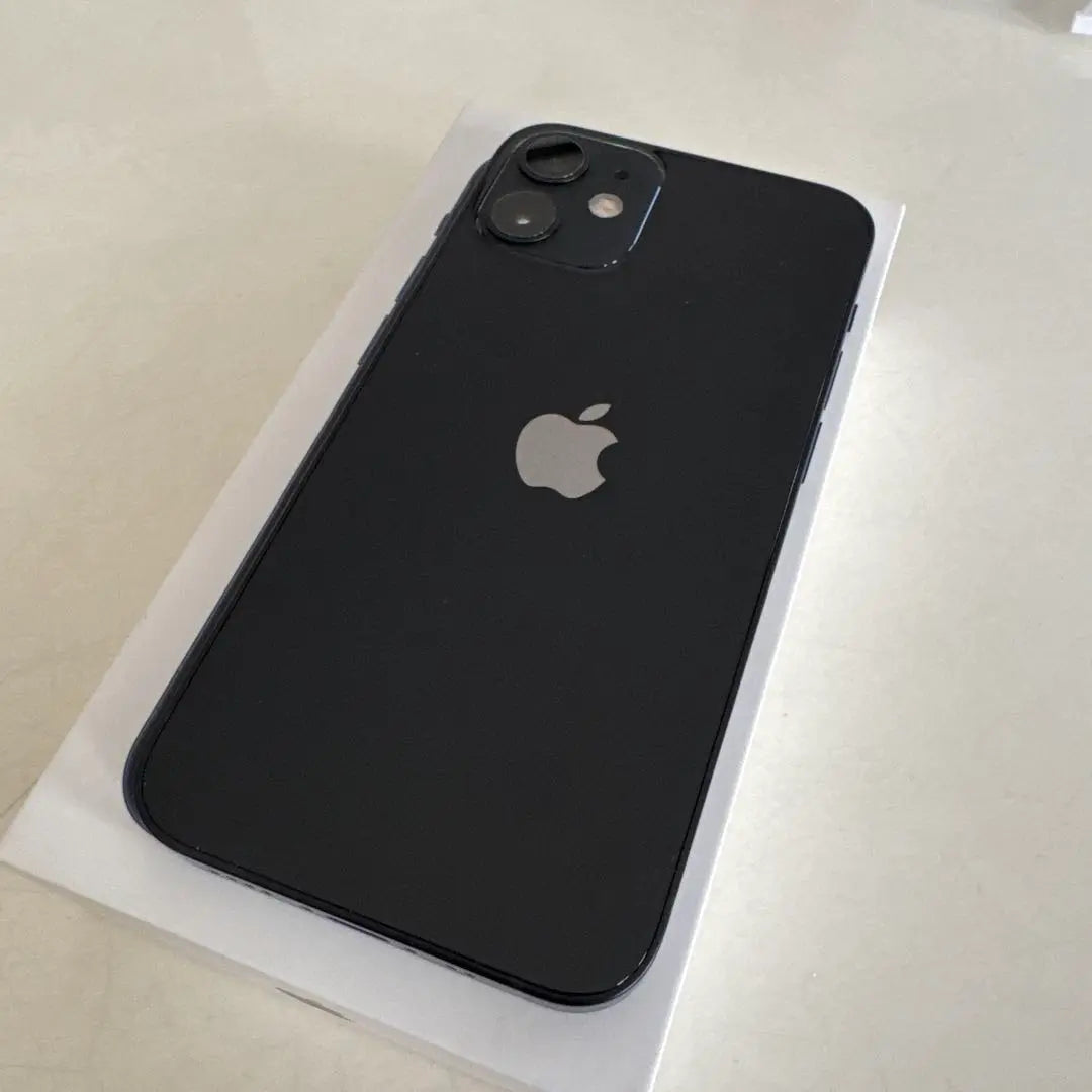 iPhone12 mini 256GB black