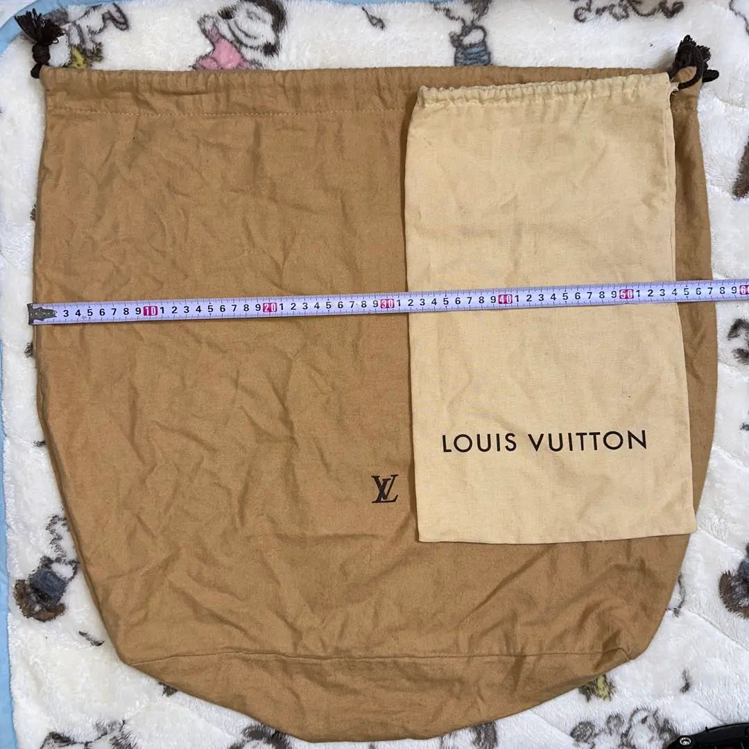 LOUIS VUITTON Louis Vuitton Clothing Cover Garment Storage Bag