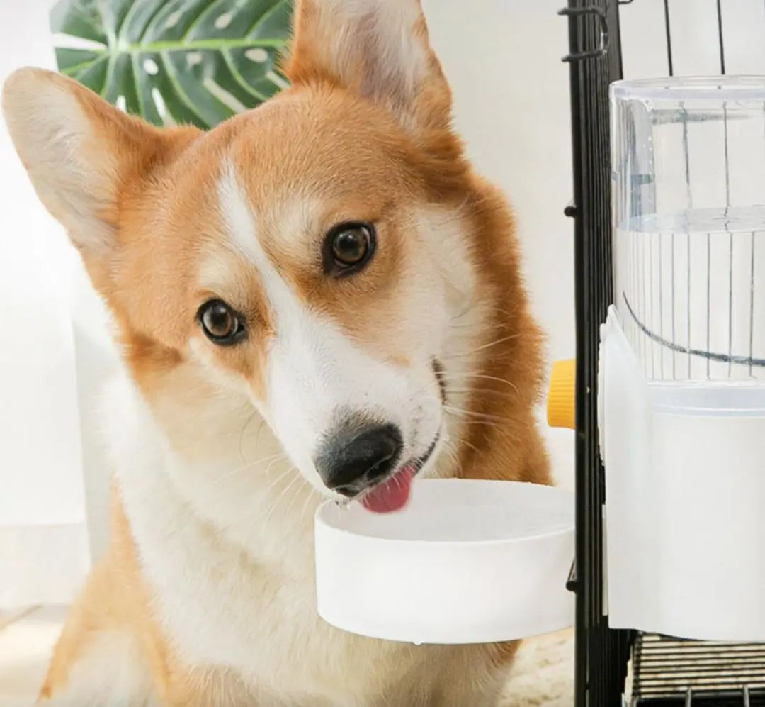 Suministro automático de agua (azul) Instalación de jaulas Perro Gato Bebedero Mascota