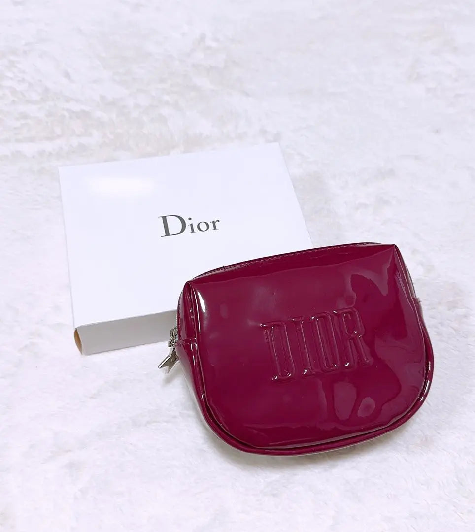 Dior Novelty Enamel Pouch