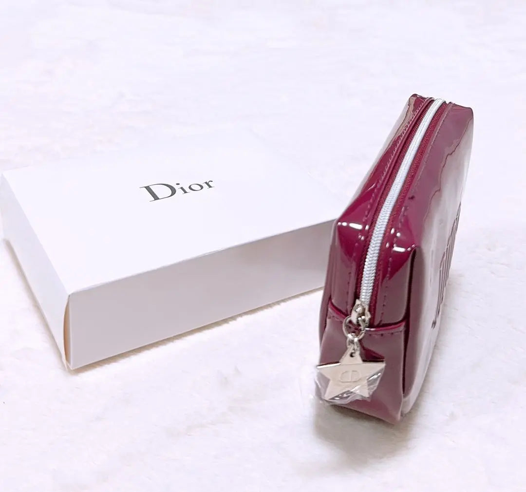 Dior Novelty Enamel Pouch