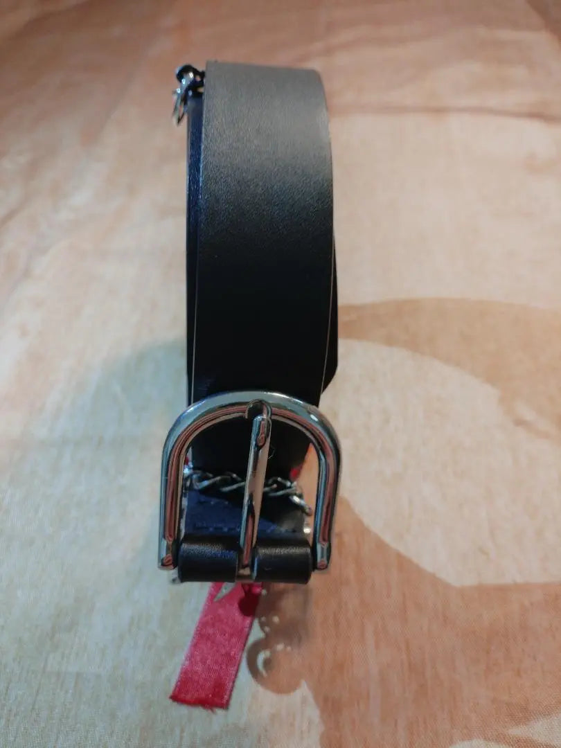 Butterfly buckle belt DIVIDED H&M