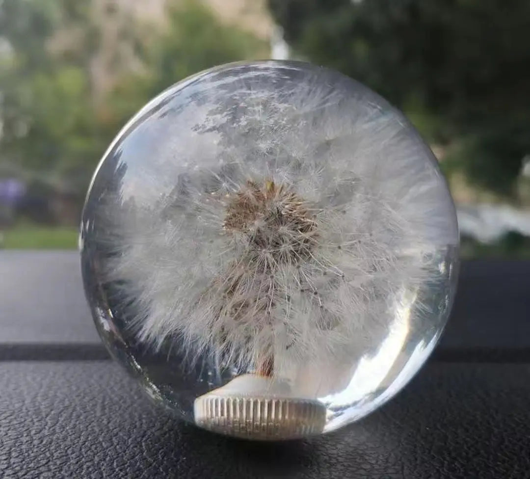 New High Quality Aftermarket Dandelion MT General-Purpose Shift Knob, Rare Item, Limited 1 Piece, Free Shipping