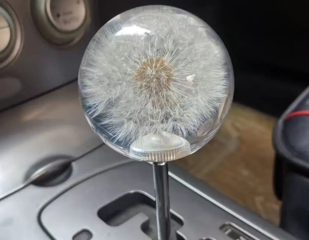 New High Quality Aftermarket Dandelion MT General-Purpose Shift Knob, Rare Item, Limited 1 Piece, Free Shipping