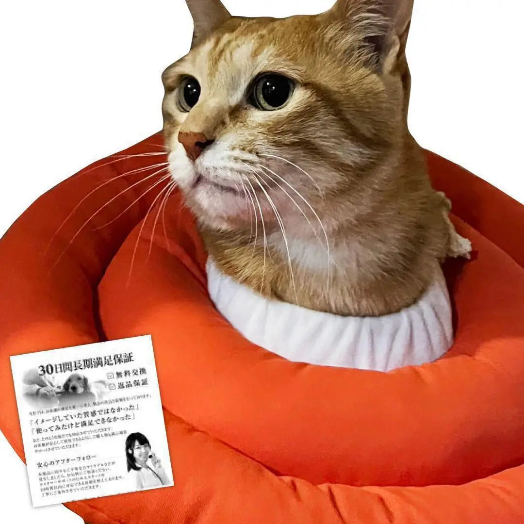 [S] Elizabeth Collar Kitten Puppy Soft Scratch Prevention Orange Post-Surgery