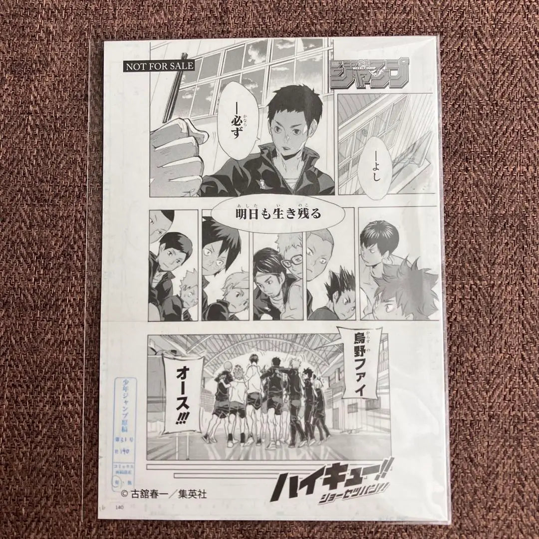 ¡¡Haikyu!! ︎ Reproducción adicional de Shosetuban Arte original Escuela secundaria Karasuno | ハイキュー‼︎ ショーセツバン 特典 複製原画 烏野高校