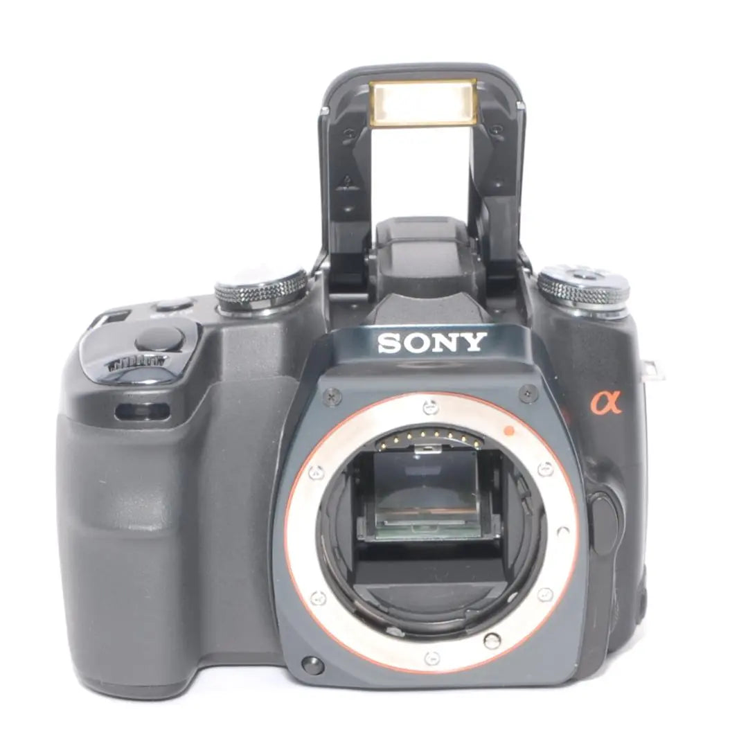 ♪First time at Sony♪ Introductory camera model♪ SONY α100 Sony Sigma Lens