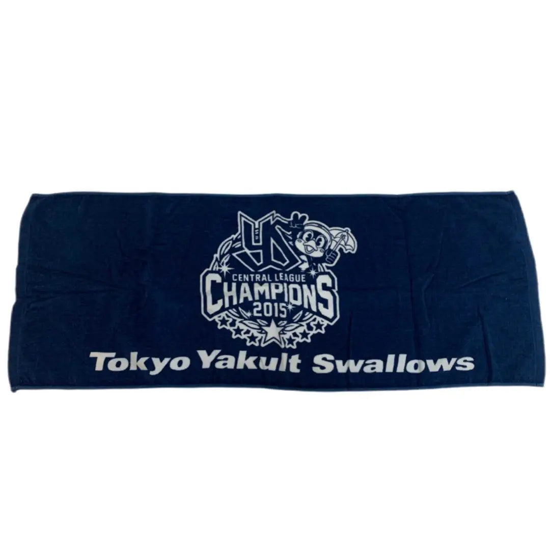 2006 Brazilian national team Japan national team Nakata Hidetoshi Yakult Swallows Towel set of 4