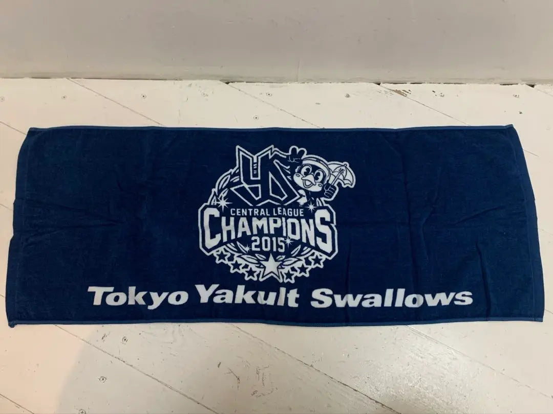 2006 Brazilian national team Japan national team Nakata Hidetoshi Yakult Swallows Towel set of 4