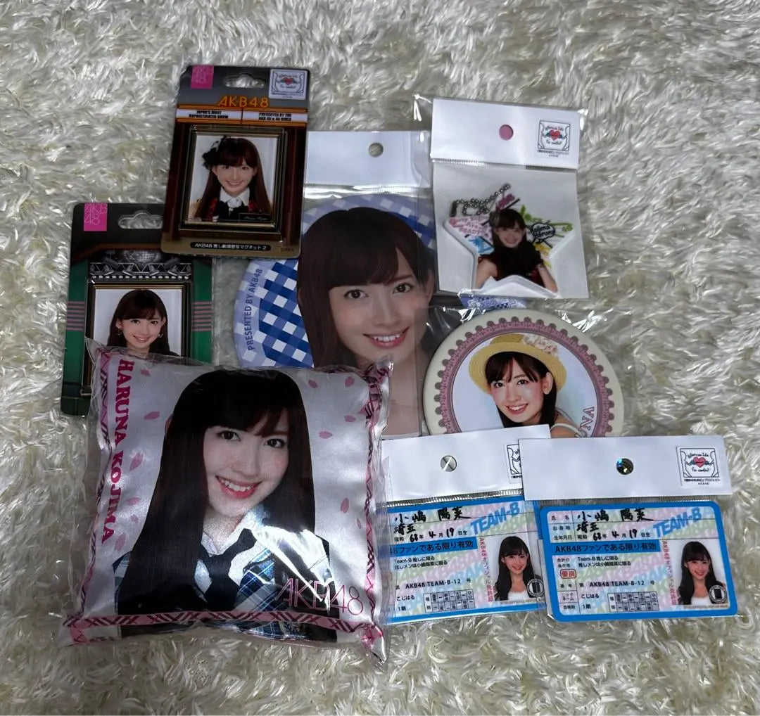 Kojima Haruna Goods Set Herlipto AKB48