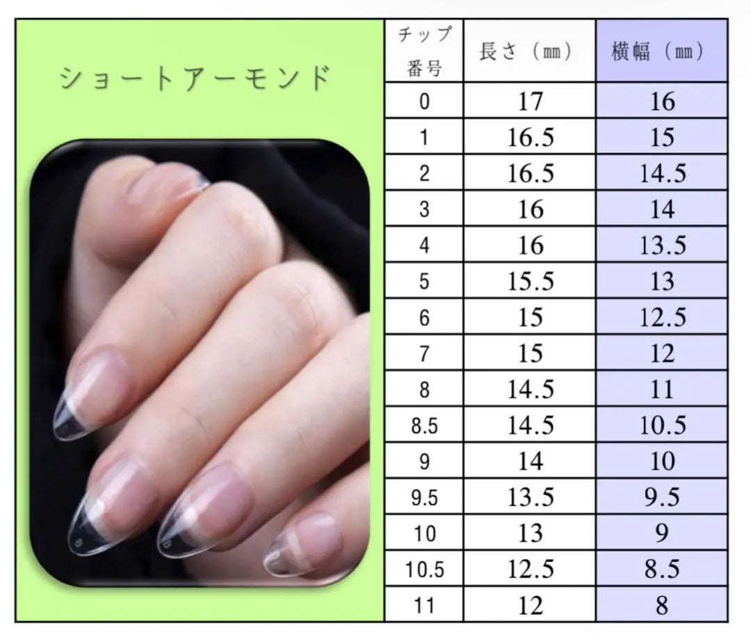 Plump flower nails, nuanced nails, shell belt, enclosed nails, adult, elegant