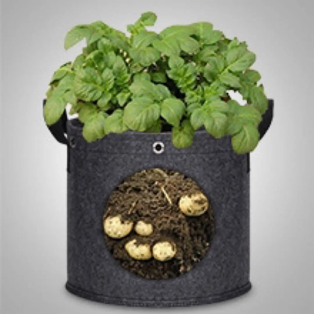 [3408] Non-woven planter, 5-piece set, large handle, width 50 x height 30cm