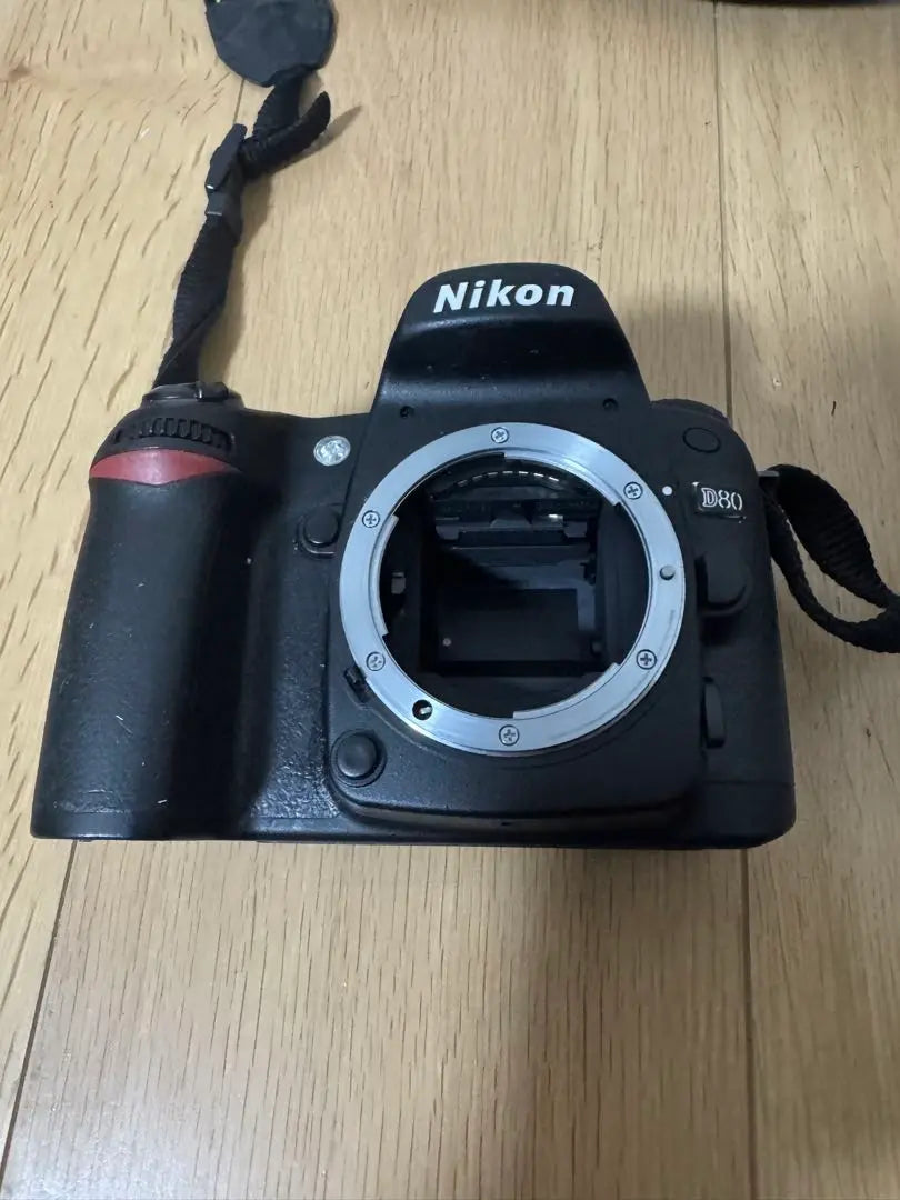 Nikon D80 Zoom Lens Kit