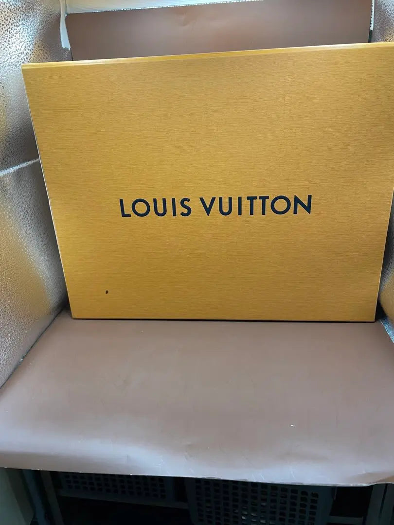 Current model Louis Vuitton LV Skateline Sneakers 26-26.5cm