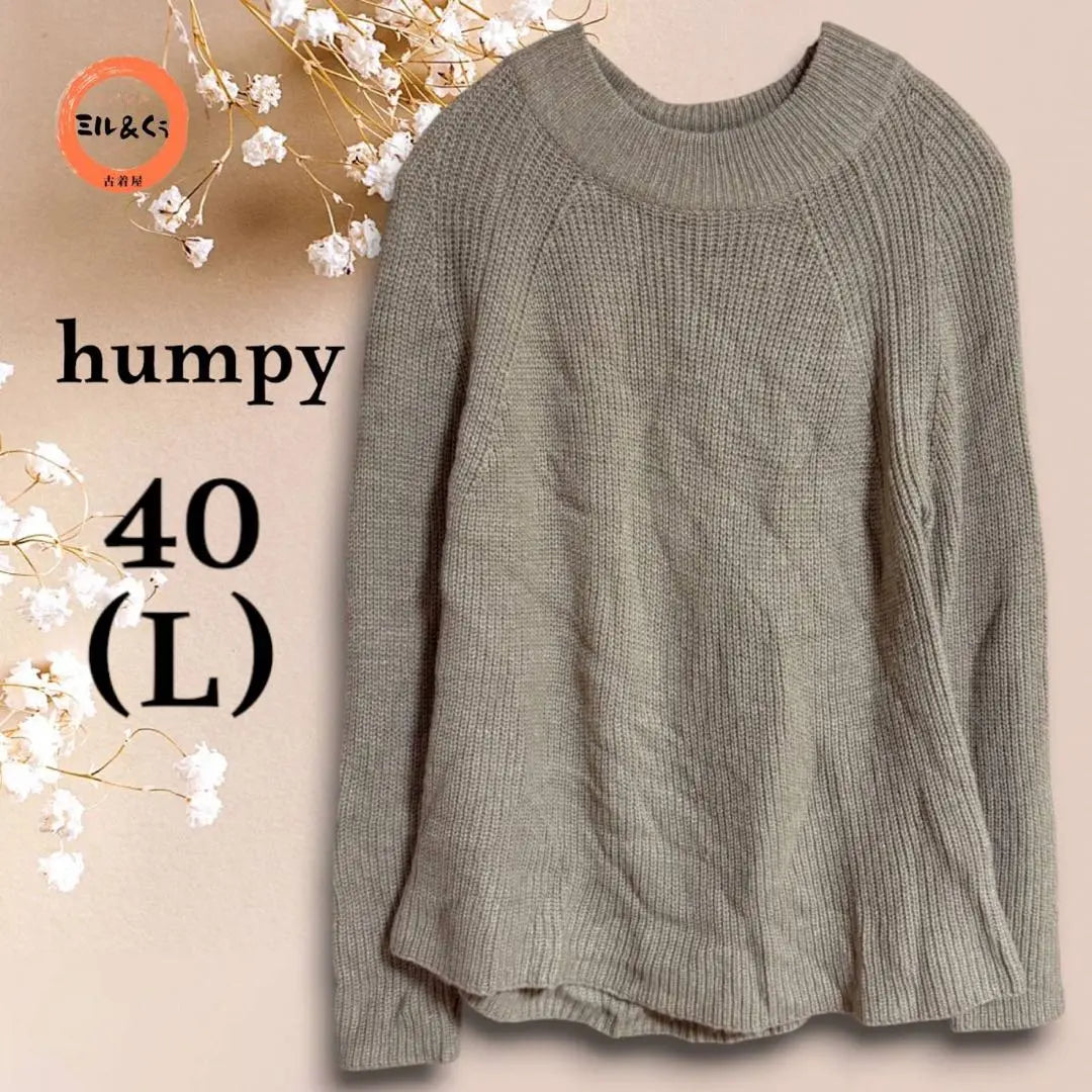 Women's Raglan Sleeve A-Line Knit Beige 40 (L) | レディース　ラグランスリーブAラインニット　ベージュ系　40（L)