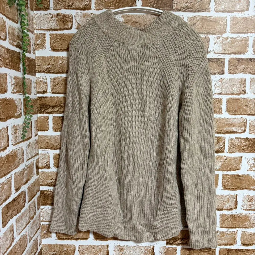 Women's Raglan Sleeve A-Line Knit Beige 40 (L) | レディース　ラグランスリーブAラインニット　ベージュ系　40（L)