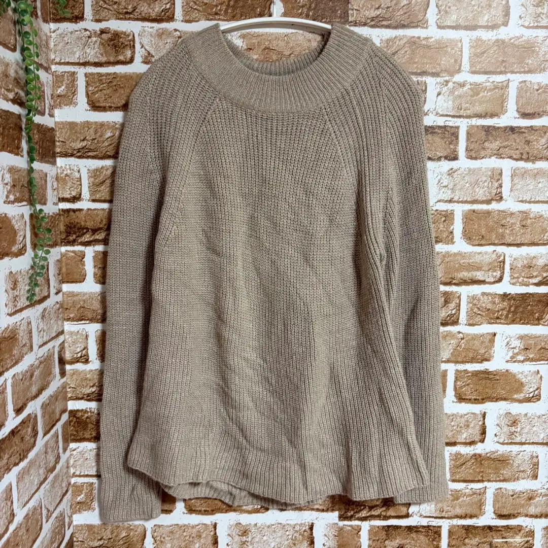 Women's Raglan Sleeve A-Line Knit Beige 40 (L) | レディース　ラグランスリーブAラインニット　ベージュ系　40（L)