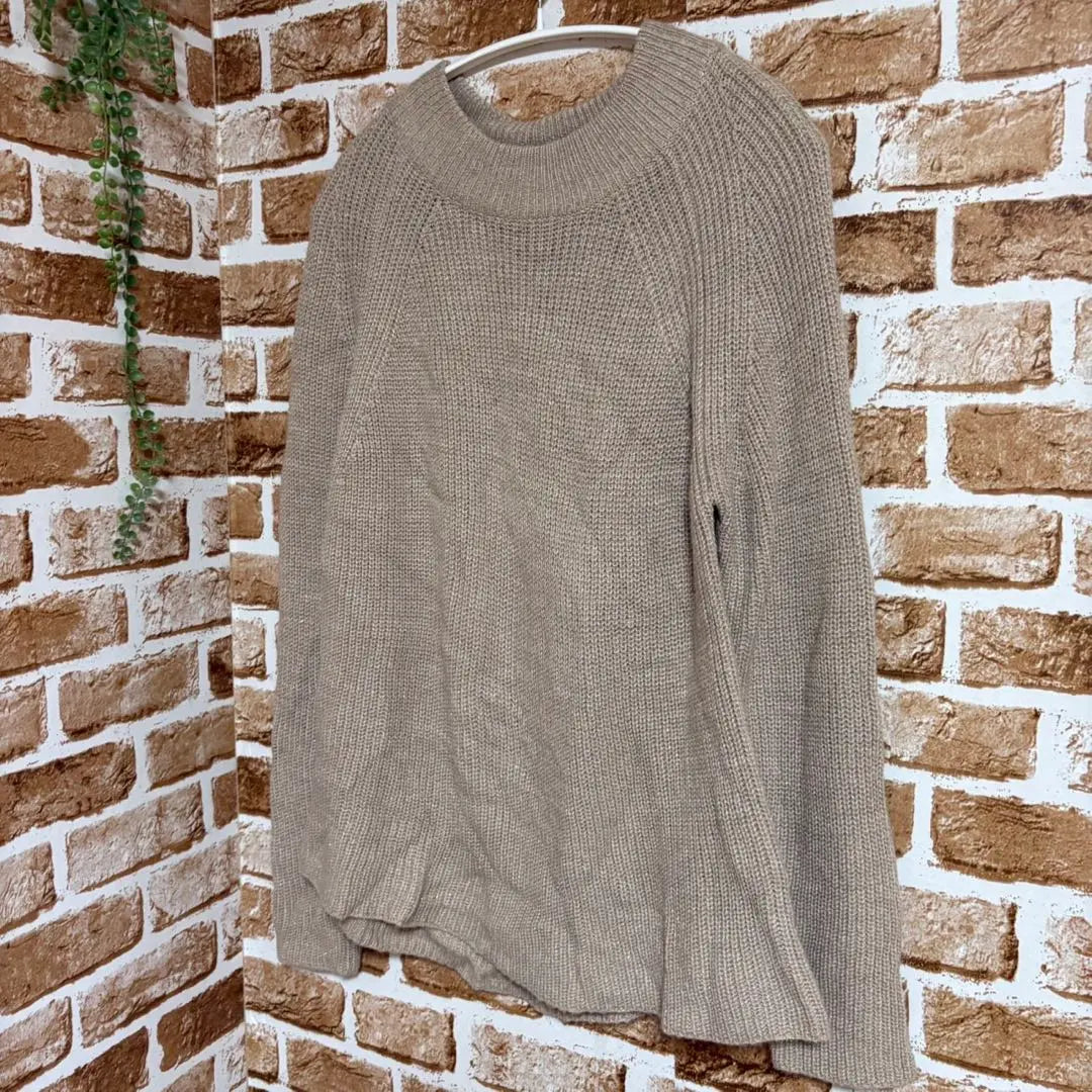 Women's Raglan Sleeve A-Line Knit Beige 40 (L) | レディース　ラグランスリーブAラインニット　ベージュ系　40（L)