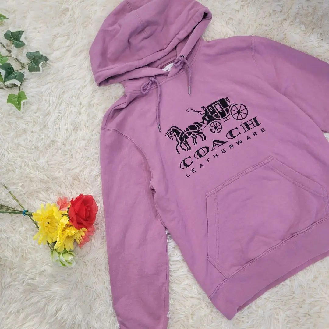 Sudadera con capucha y logotipo bordado en color morado y lavanda de COACH