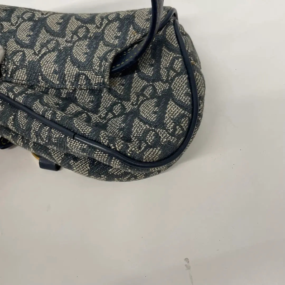 Good condition ✨ Dior Trotter Saddle Waist Bag