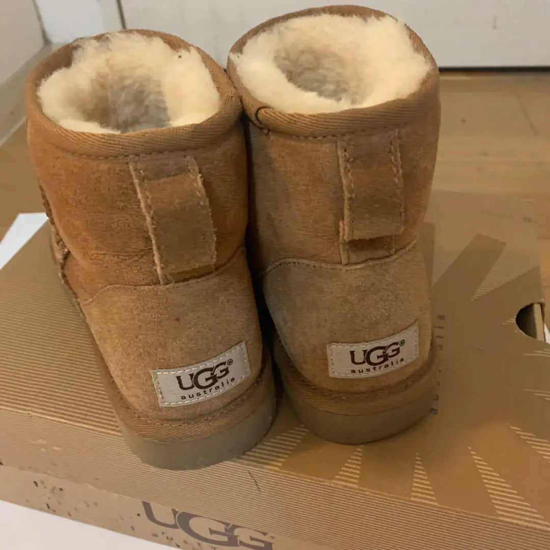 Botas cortas UGG beige | UGG ショートブーツ ベージュ