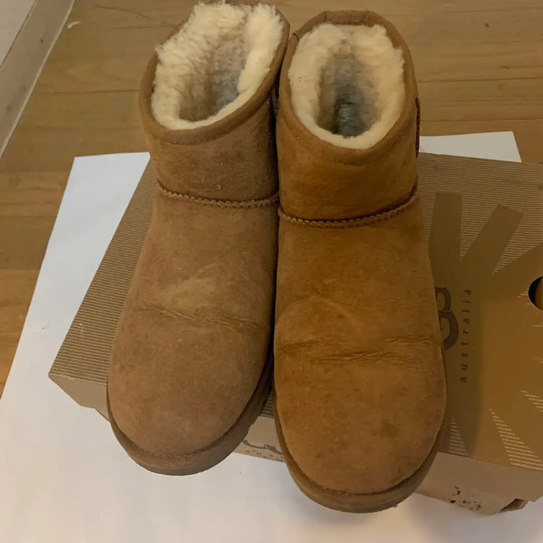 Botas cortas UGG beige | UGG ショートブーツ ベージュ