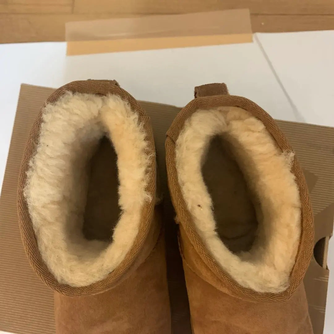 Botas cortas UGG beige | UGG ショートブーツ ベージュ