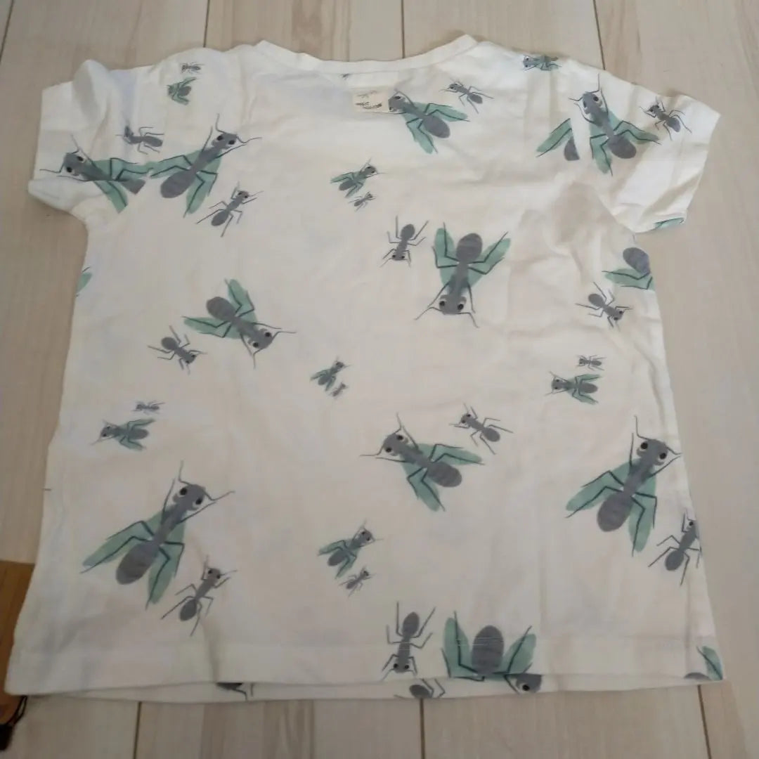 Insect collection available T -shirt L size | インセクトコレクション　 ありさん Tシャツ Lサイズ