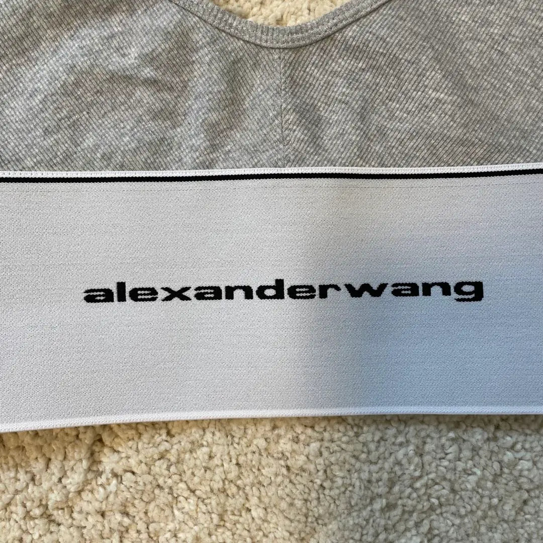 Sujetador de Alexander Wang