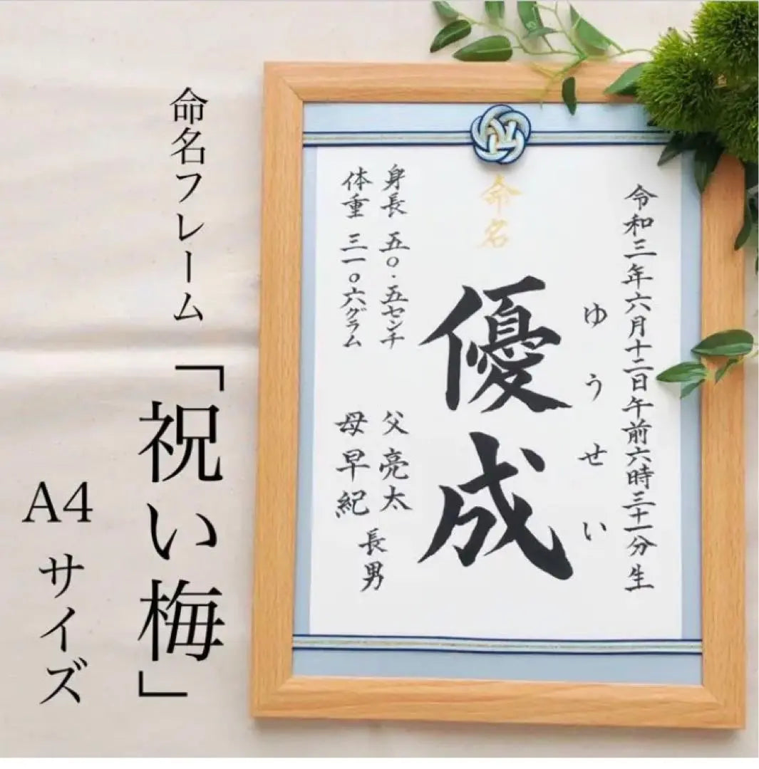 Order naming book - Mizuhiki frame "Celebration plum" A4 size