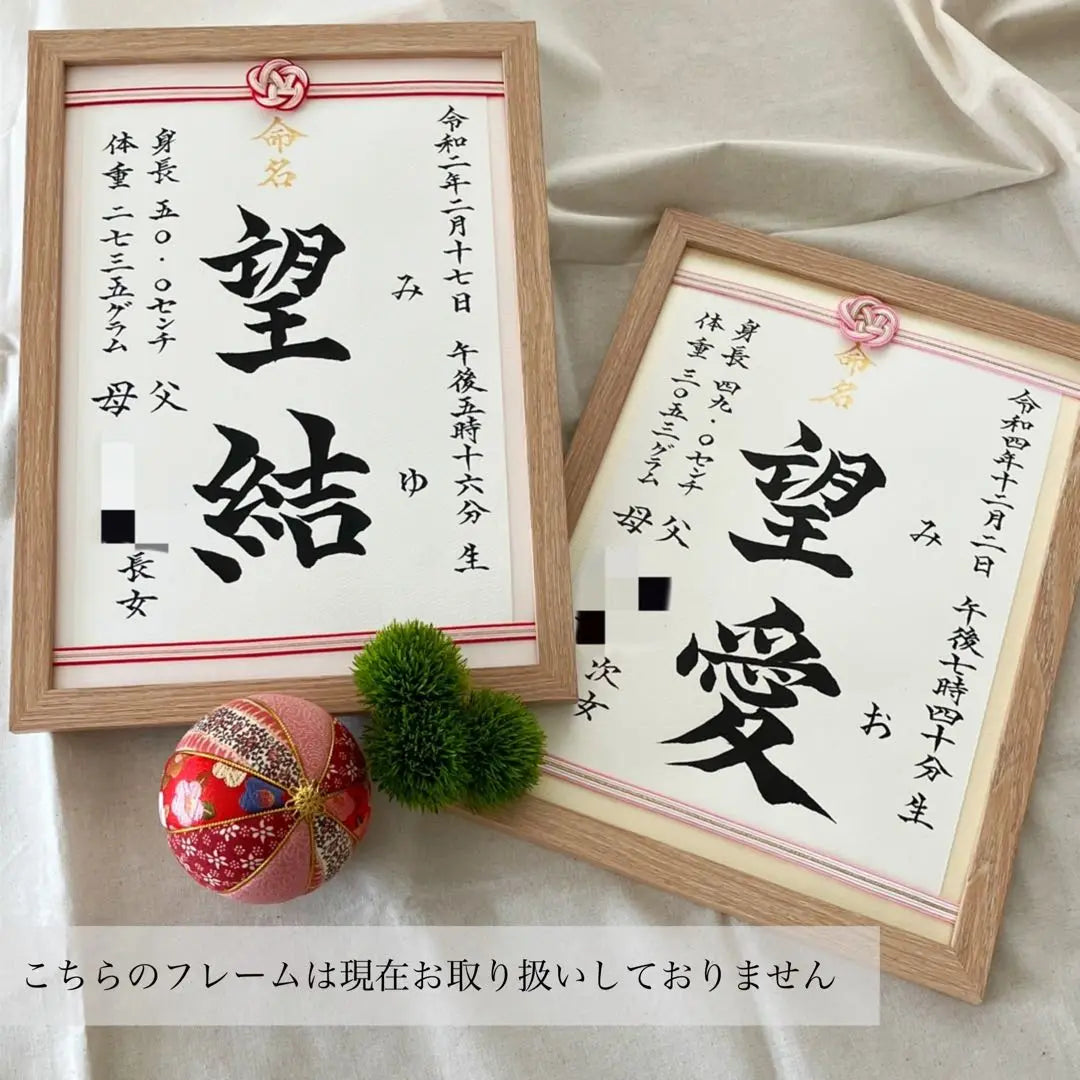 Order naming book - Mizuhiki frame "Celebration plum" A4 size