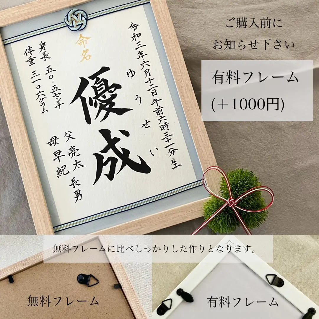 Order naming book - Mizuhiki frame "Celebration plum" A4 size