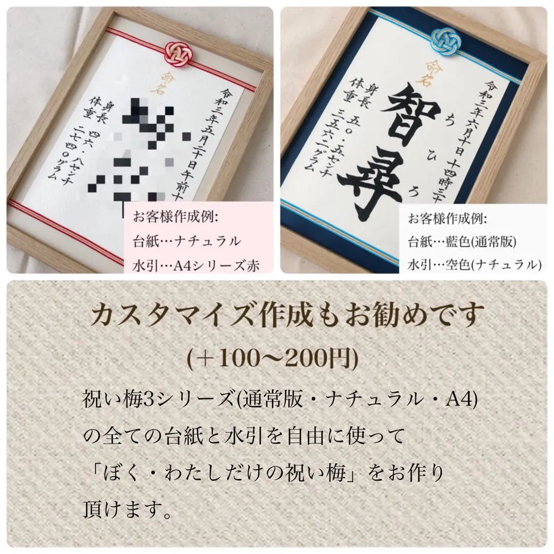 Order naming book - Mizuhiki frame "Celebration plum" A4 size