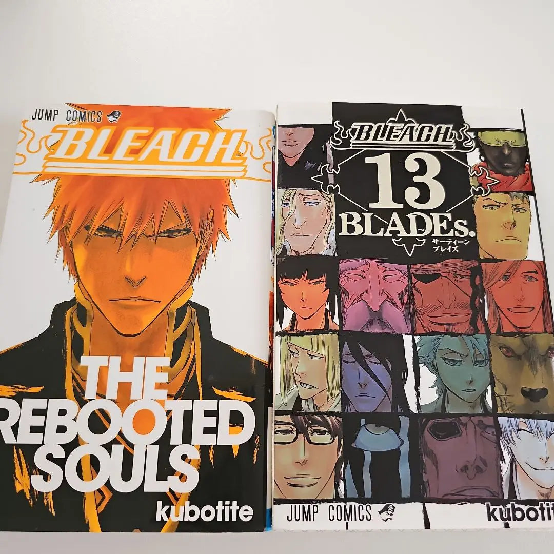 BLEACH Character Guide Book Thirteen Blaze Not for sale