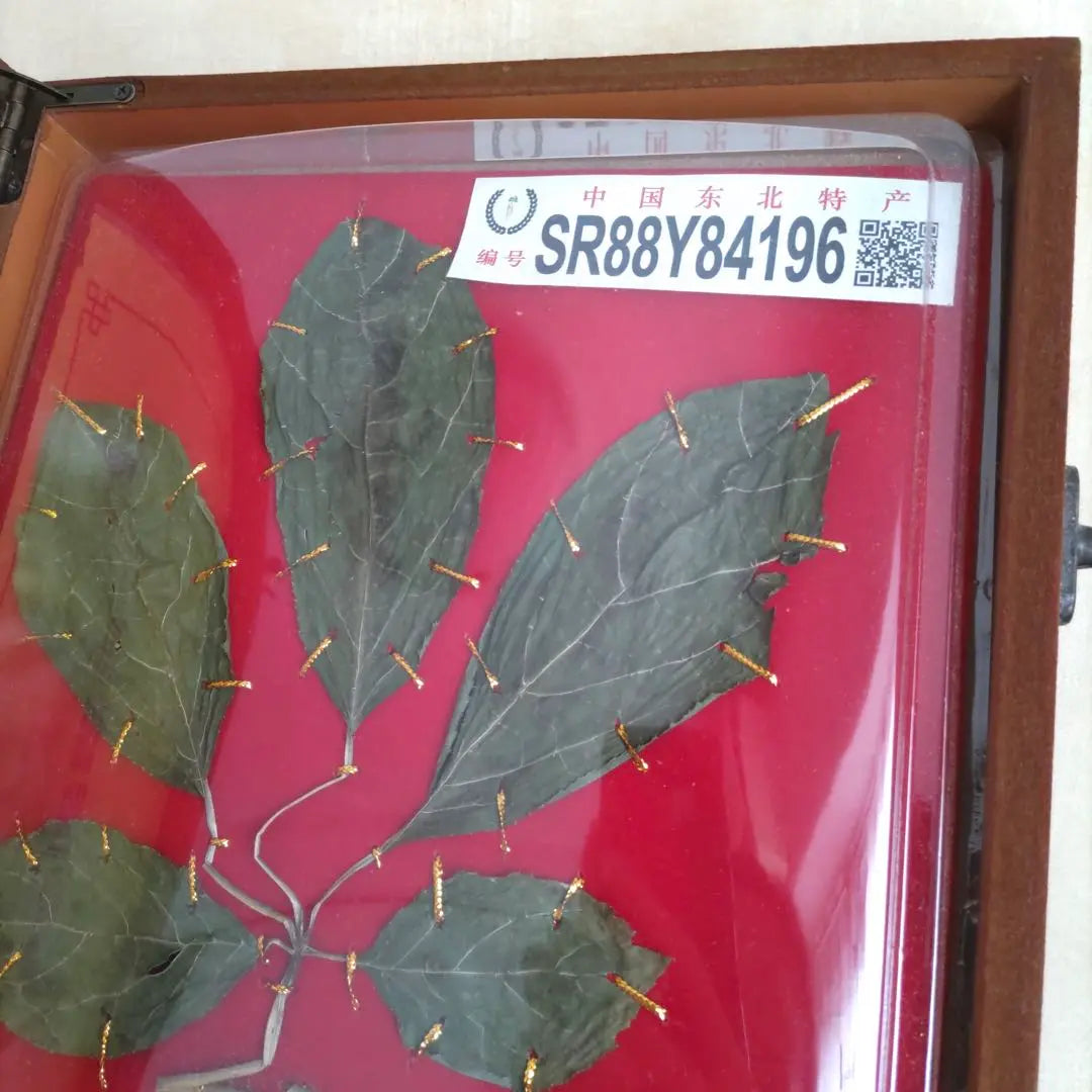 [Rare] Ginseng, Chinese souvenir, with certificate of authenticity, Korean ginseng, mountain ginseng