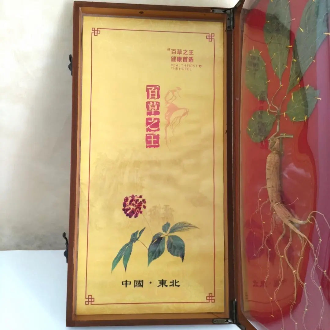 [Raro] Ginseng, recuerdo chino, con certificado de autenticidad, ginseng coreano, ginseng de montaña