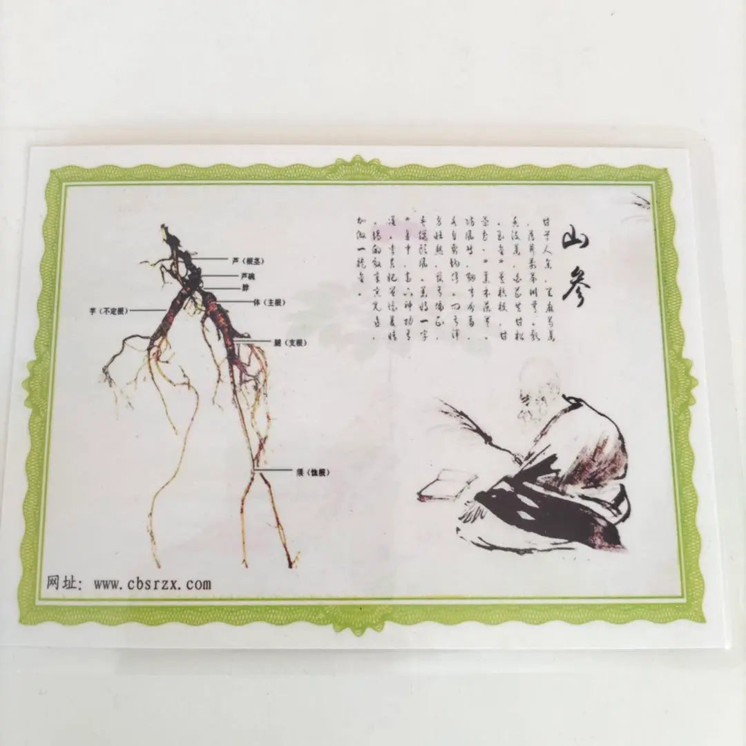 [Raro] Ginseng, recuerdo chino, con certificado de autenticidad, ginseng coreano, ginseng de montaña