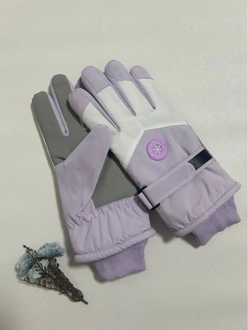 Back in stock‼ ︎】Ski gloves, snowboarding, ladies, skiing, gloves, purple, purple