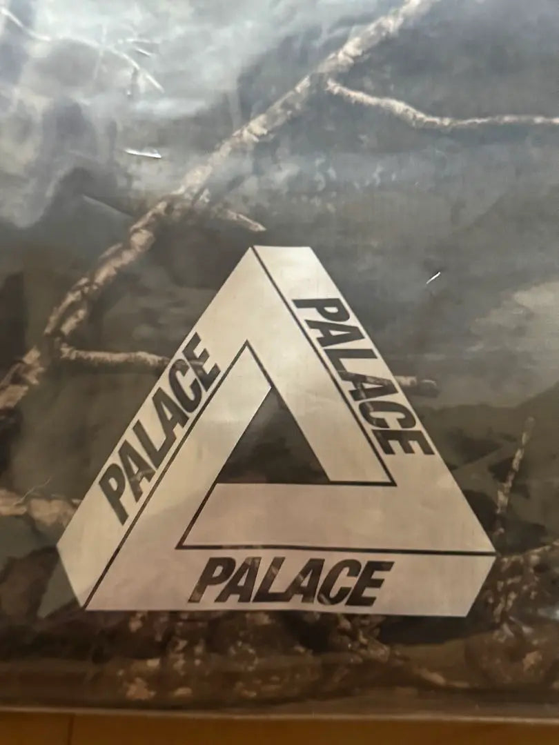 Palace Gore-Tex Windstopper Mask Jacket | Palace Gore-Tex Windstopper Mask Jacket