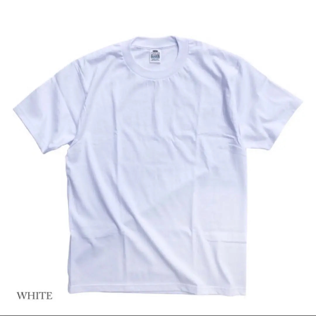 [Pro Club] New, unused, plain 5.8oz Comfort short sleeve T-shirt, white L