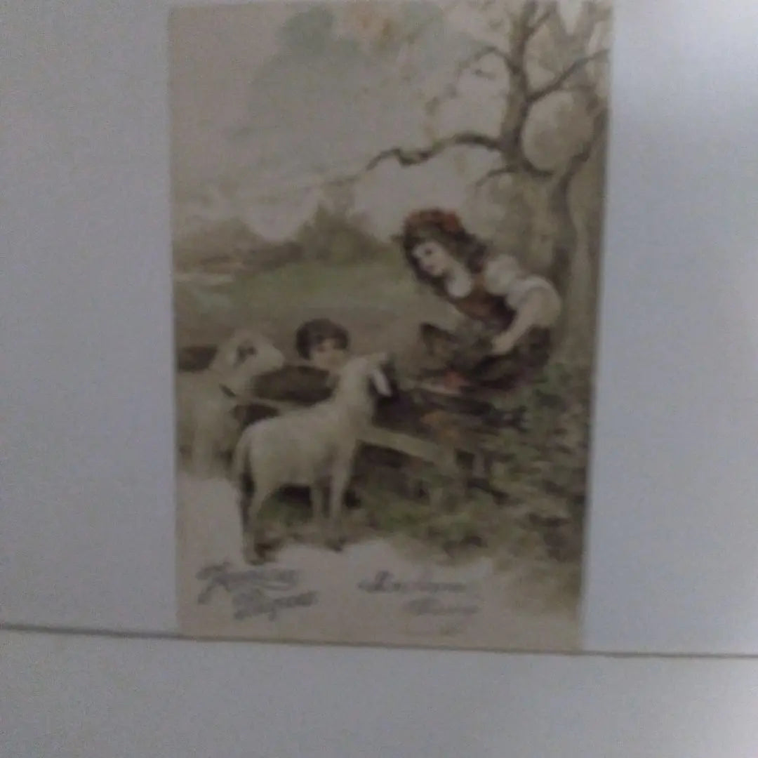 Antique postcard/Sheep, girl and boy